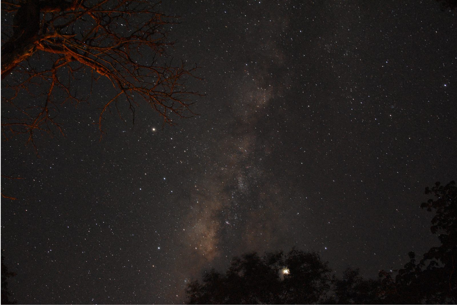 マダガスカルの星空